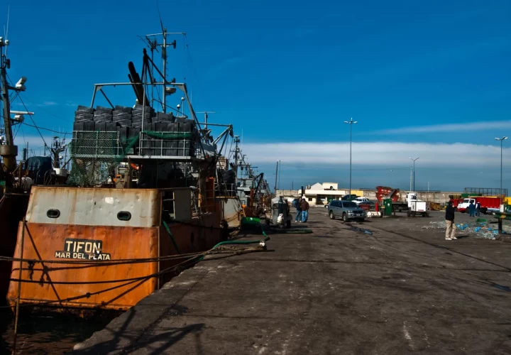 Puerto de Mar del Plata | Bafilma 2
