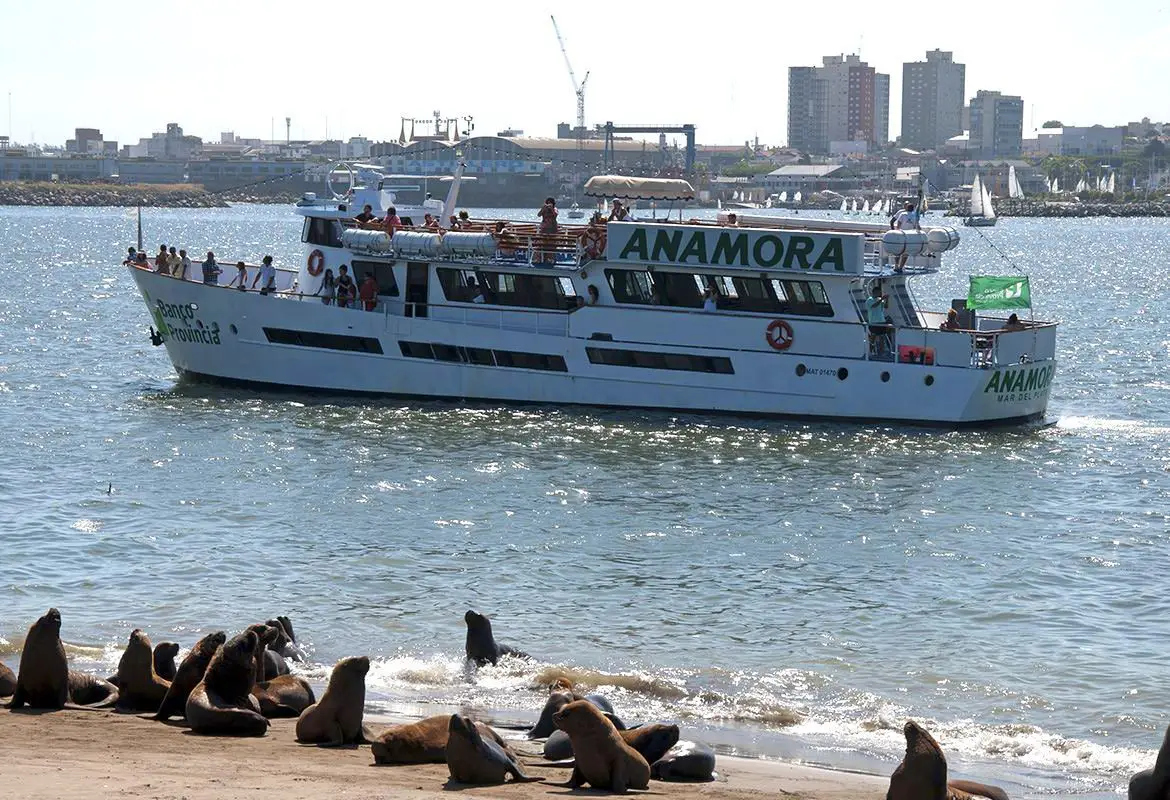 Excursión barco Mar del Plata