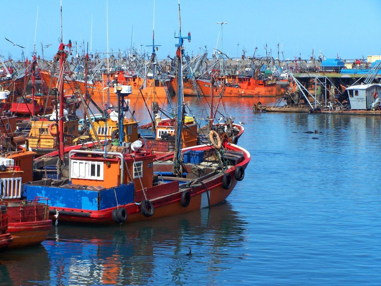 Puerto - Mar del Plata