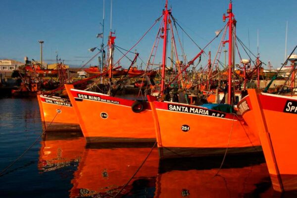 La Banquina del Puerto de Mar del Plata - Tripin