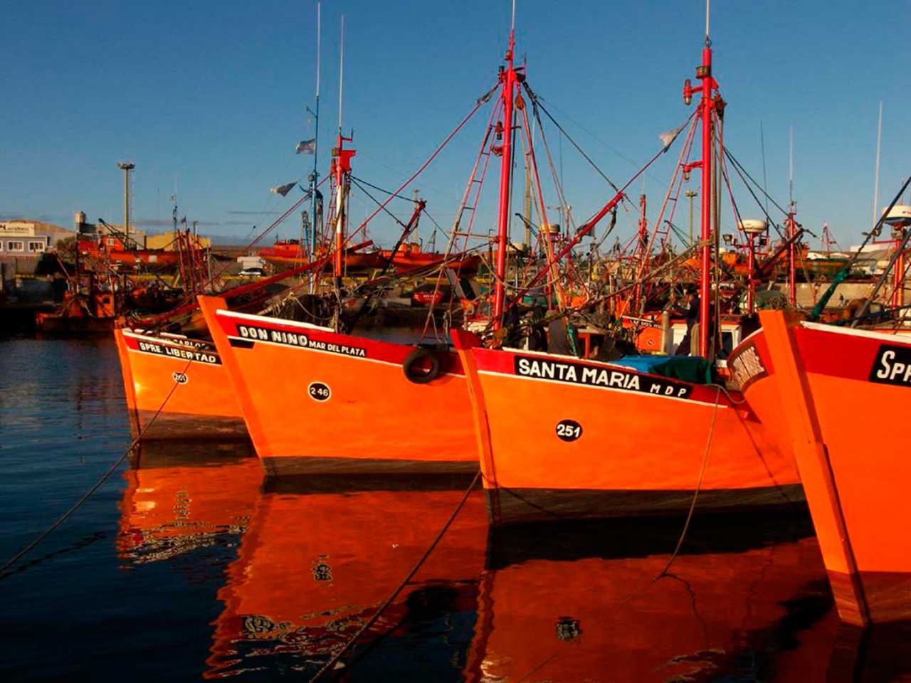 La Banquina del Puerto de Mar del Plata - Tripin